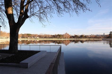 Cruising en Zona lago casa de campo, Madrid (Madrid)